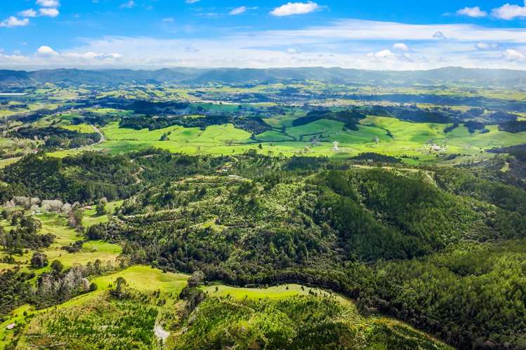 Lot 3 Radiata Road Warkworth_23