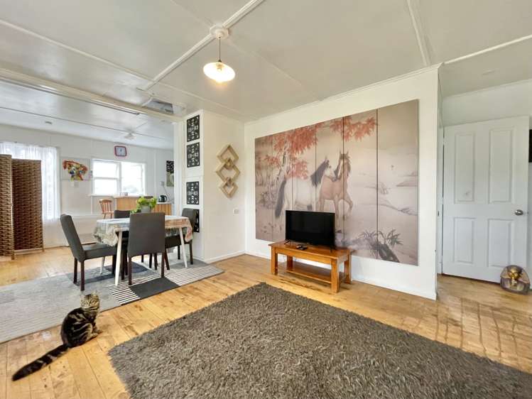 47 Clyde Street Tokoroa_2