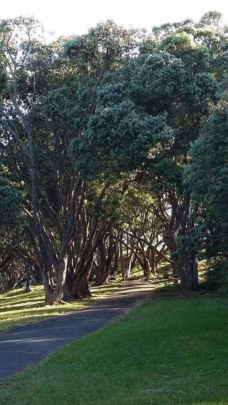 83 Dignan Street Point Chevalier_15