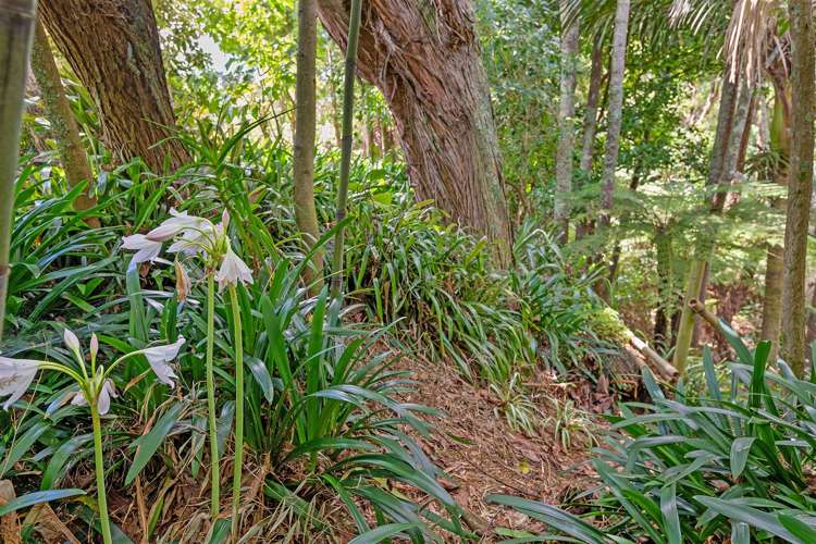 16 Inglis Street Birkenhead_15