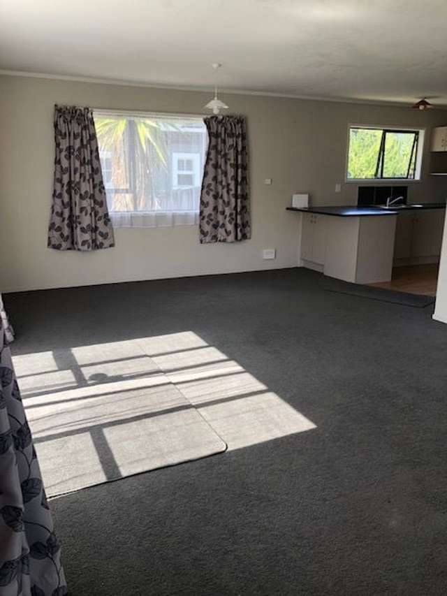 157C Nixon Street Hamilton East_3