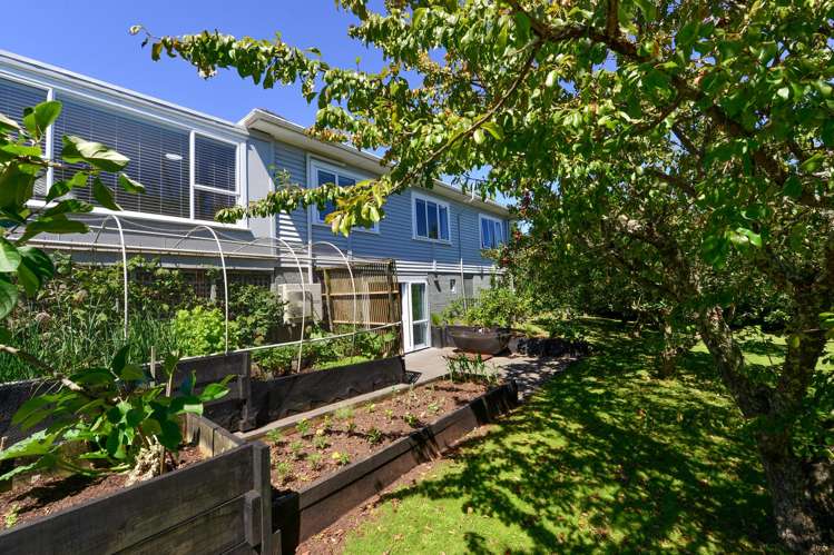 2 Joffre Street Frankton_39