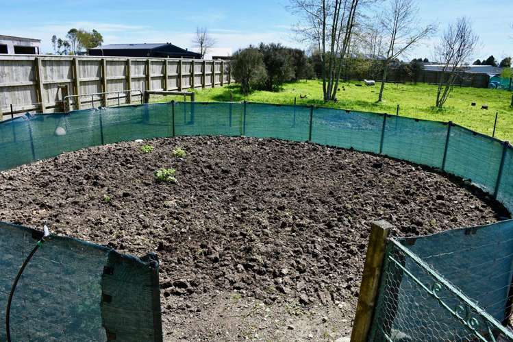 131 Oparara Road Karamea_13