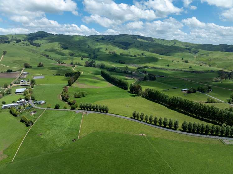 117 Manion Lane Morrinsville_3