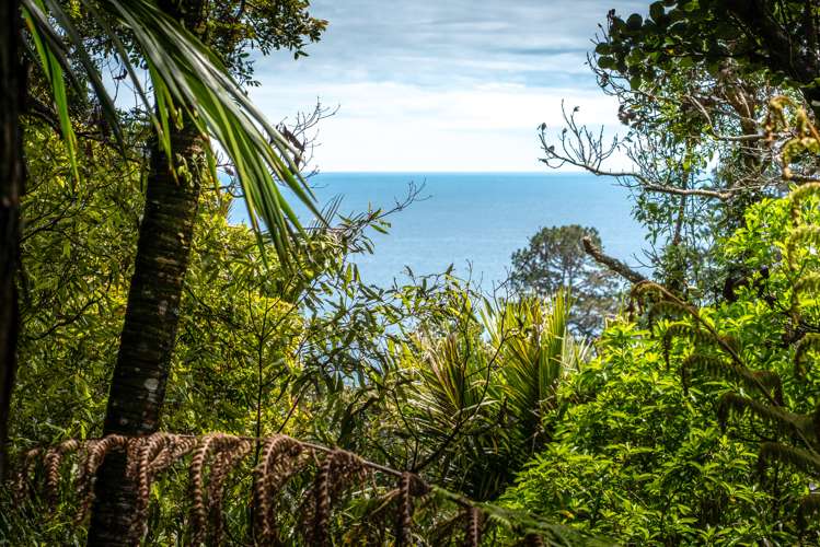 61 Trig Hill Road Onetangi_6