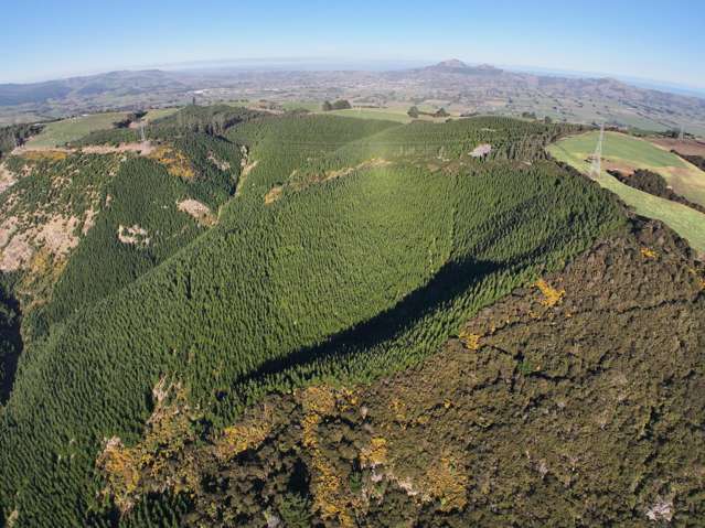 192 Taieri View Road North Taieri_3