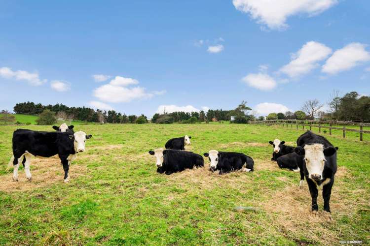 410c Mangatangi Road Mangatangi_24