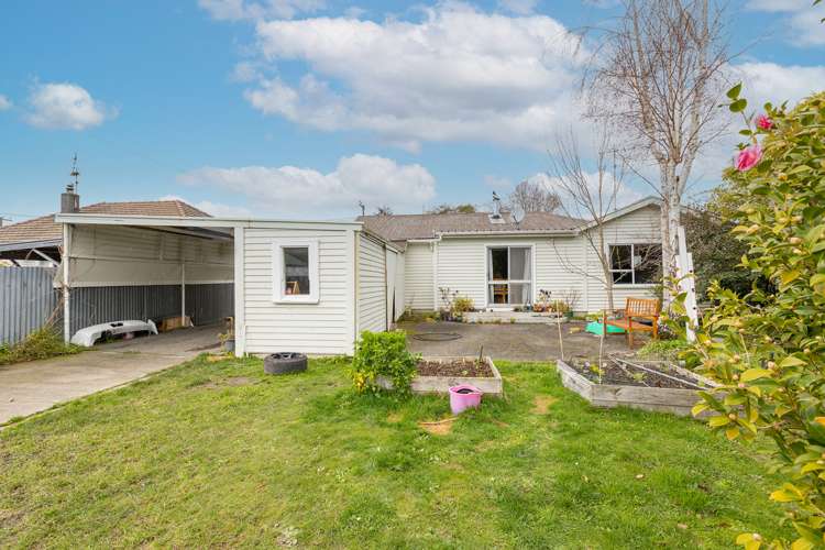 170 West Street Greytown_17