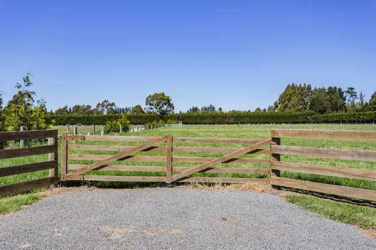 181 Flaxton Road Flaxton_8