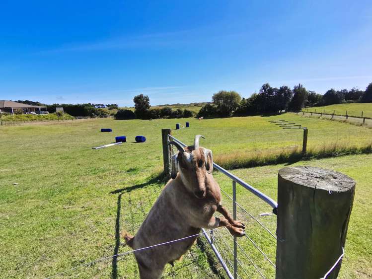 151 Pukenamu Road Te Horo_19