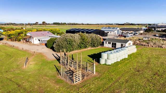 331 Waihi Road Hawera_1