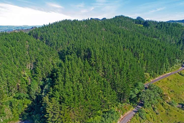 Riverside Road Matokitoki_1