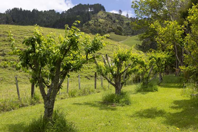 50 Gangway Road Totara North_28