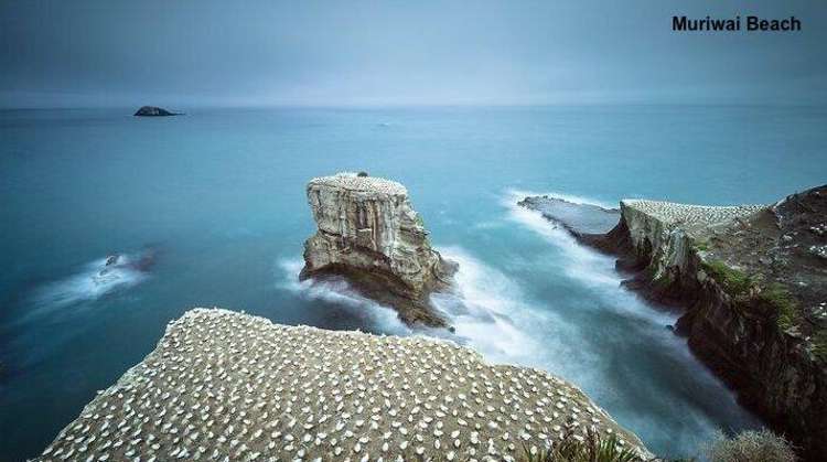 30 Pukemarino Road Waimauku_11