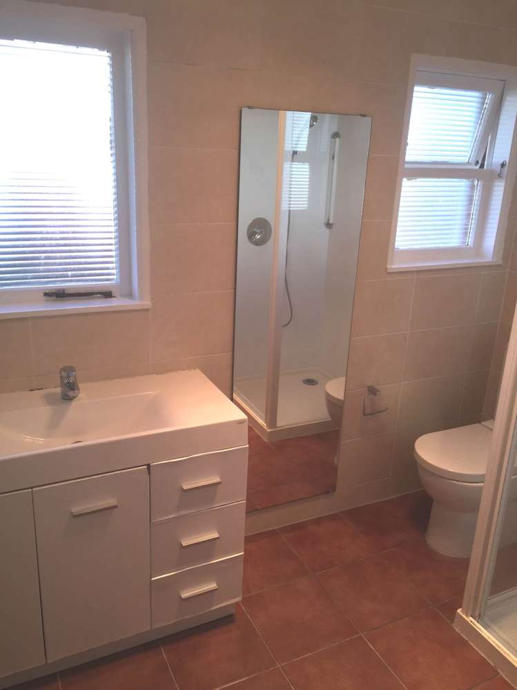 3 Pascoe Street Mount Roskill_10