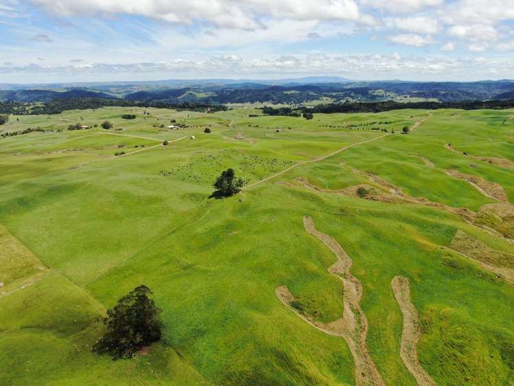 537 Tapuwae Road Benneydale_19