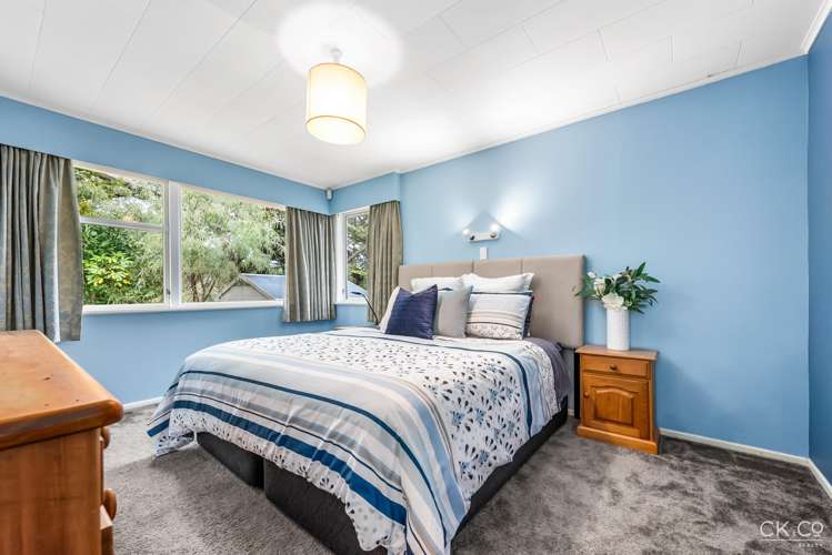 3 Ashdown Way Silverstream_10