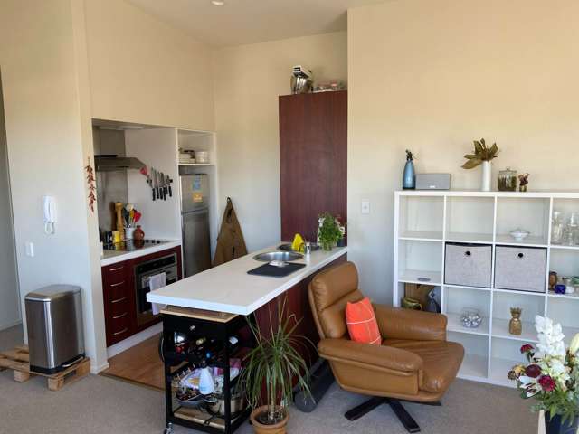 24/51 Brown Street Ponsonby_1