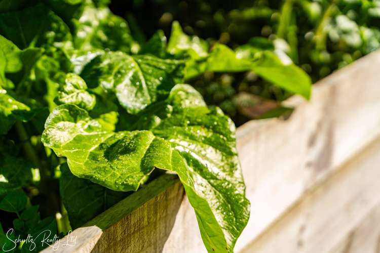 12 Cliff Street Paparoa_38