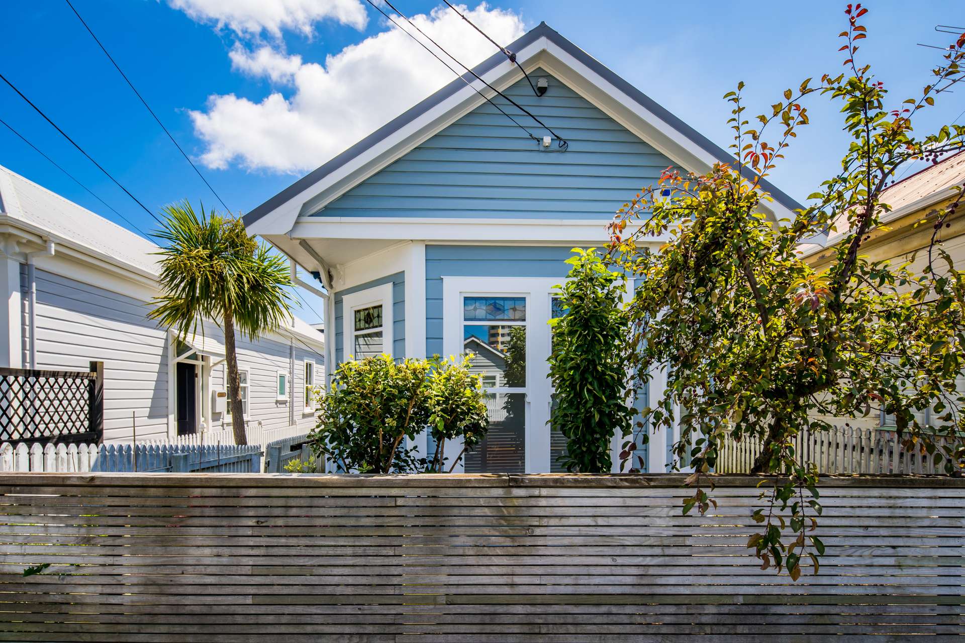 6 Carrington Street Mount Cook_0