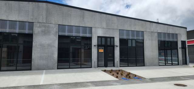 Unit 17, 20 William Earp Place Tawa_1