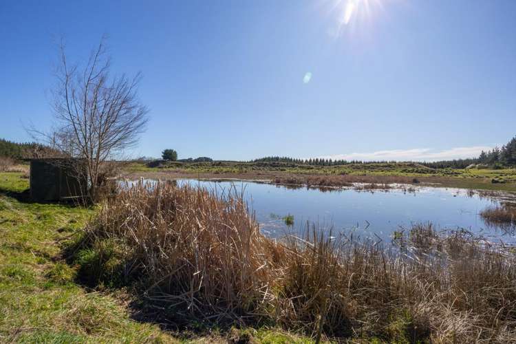 725 Raumai Road Bulls_19