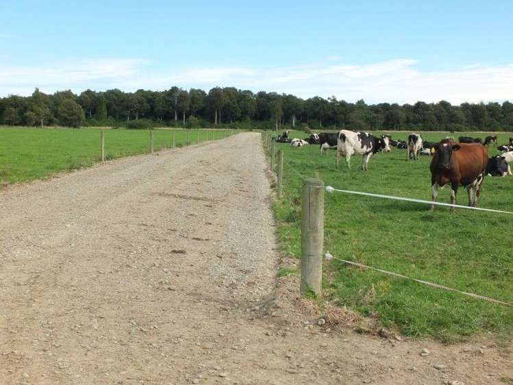 3 Limehills Browns Road Winton Surrounds_21