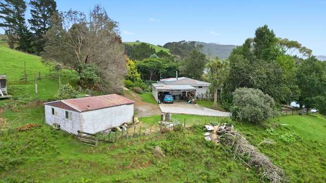 ‘Crikey’: Waikato home comes with a near-extinct forest