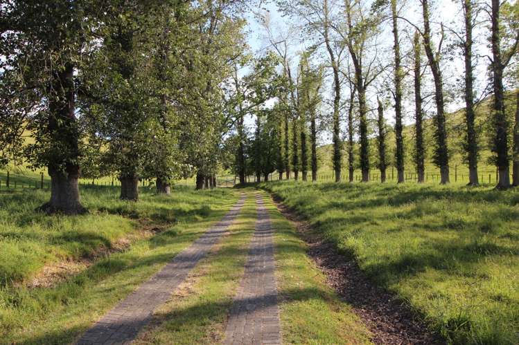 510 Smedley Road Tikokino_25