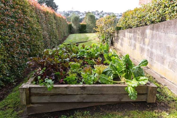 6 Apihai Street Orakei_20