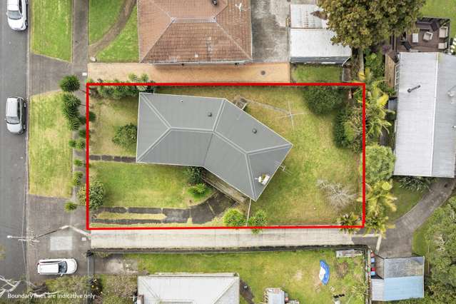 51 Eastdale Road Avondale_3