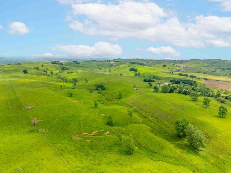 671 Ruakiwi Road Te Akau_17