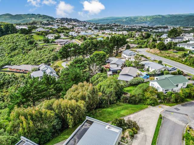 163a Maungaraki Road Korokoro_3