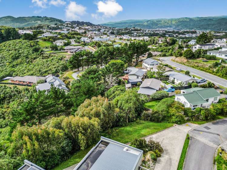 163a Maungaraki Road_3