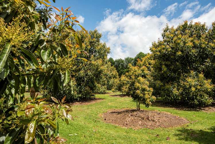 27 Watrous Downs Maungatapere_7