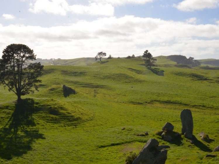 1035 Bayley Road Wharepuhunga_11