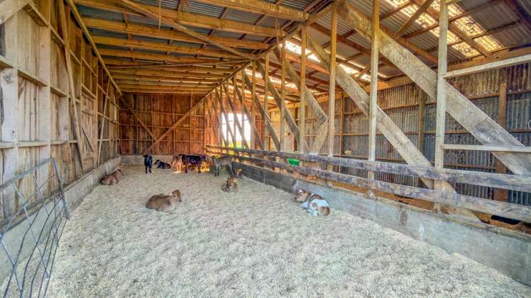 6379 State Highway 26, Tirohia Paeroa_10
