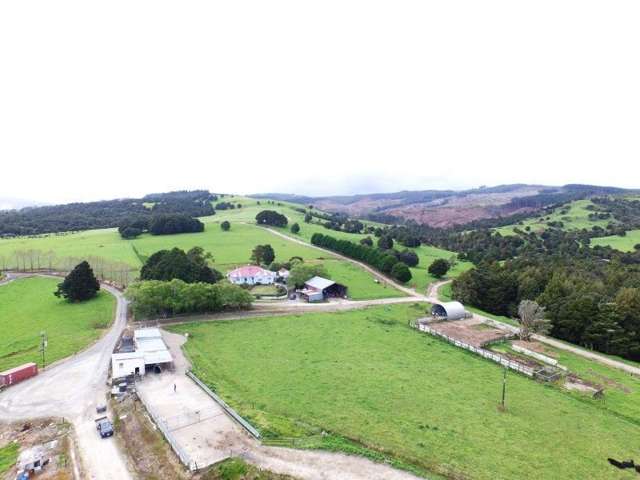 684 Trounson Park Road Dargaville Surrounds_3