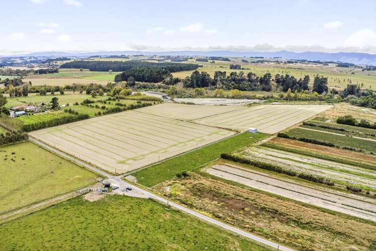 206 Almadale Road Cheltenham_6