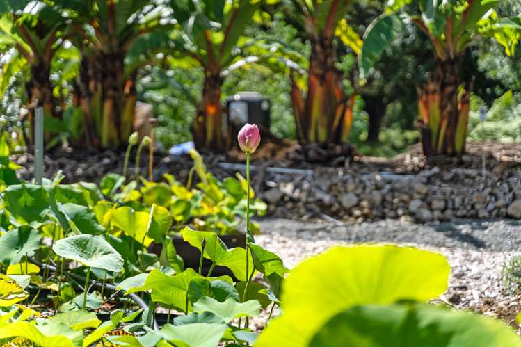 304 Mangakahia Road Maungatapere_21