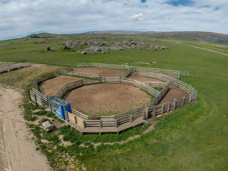 755-971 Linnburn Runs Road Paerau_15