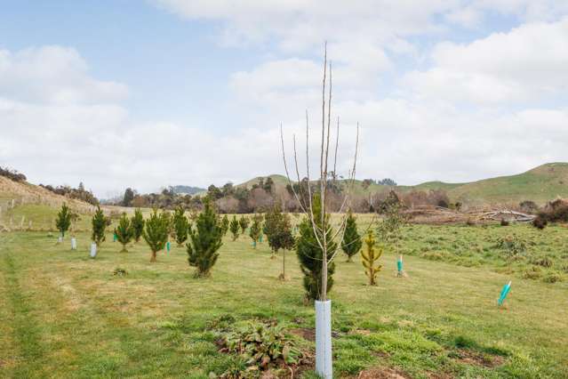 Mangoira Road Rangiwahia_2