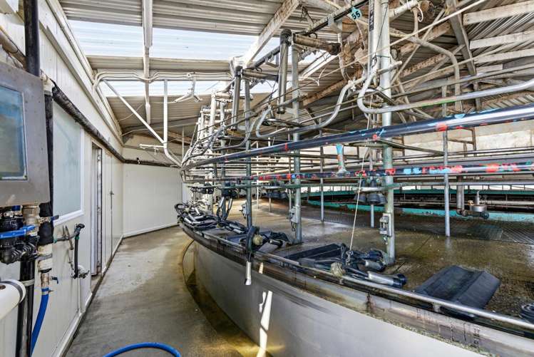 263 Domain Road Oxford_11