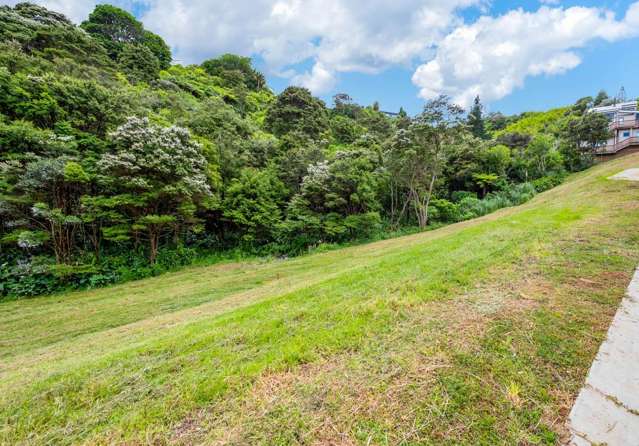 Exceptional Section in Titirangi-Dreams Start Here
