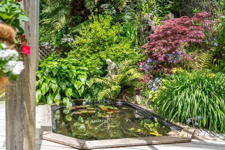 58 Jocelyn Crescent Pinehaven_7