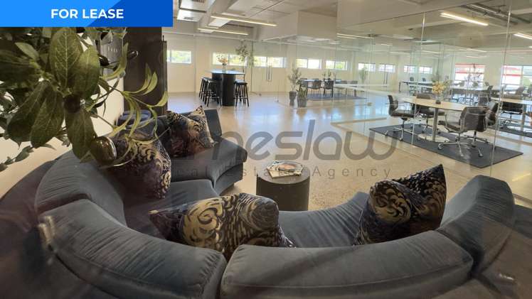 Level 3/Suite 1/20 Augustus Terrace City Centre_1