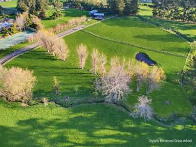 30 Forest Hill Road_3