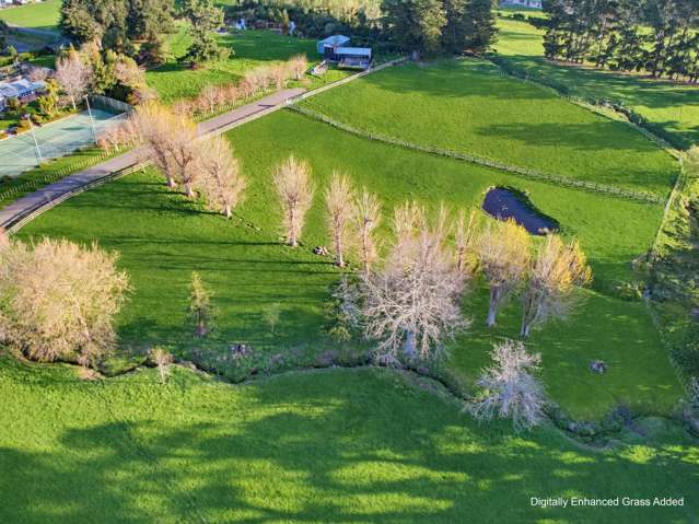 30 Forest Hill Road Aokautere_3