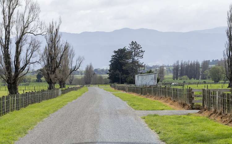 Chishams Road Martinborough_13