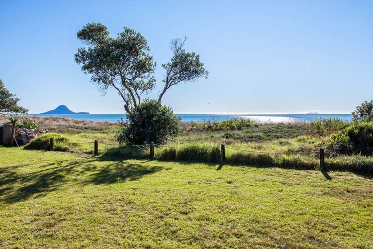 29 Waterford Avenue Ohope_5